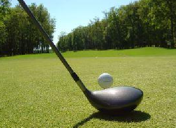 Golf article